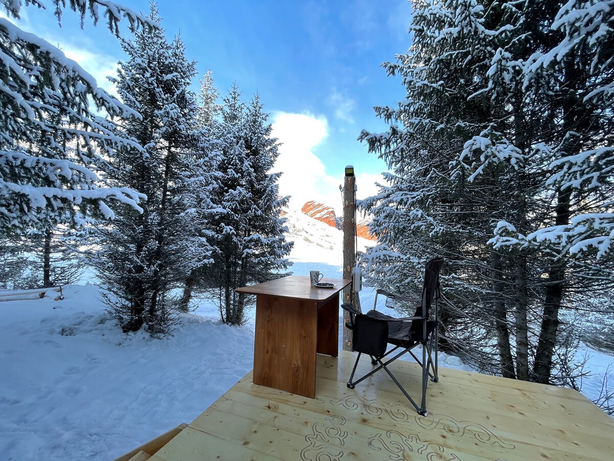 Snowy forest and clear blue sky from the yurt's outdoor deck