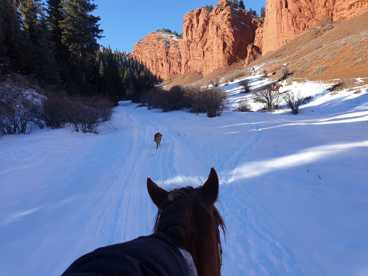Horseback riding through the snowy canyon near the yurt